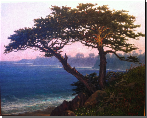 Monterey Cypress                     24 x 30